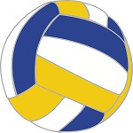 Volleyball Image